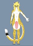 anthro balls big_balls big_penis blonde_hair blue_eyes claws finger_claws genitals hair huge_balls huge_penis hyper hyper_balls hyper_genitalia hyper_penis long_hair male penis solo toe_claws niflhiem arion_oropelt cheetah felid feline mammal