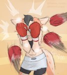 anthro boxing boxing_attire boxing_gloves clothing defending duo female fighting_ring handwear punch sport chamma_retsuden masteroflasagna olletta macropod mammal marsupial wallaby hi_res