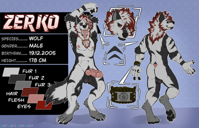anthro armpit_hair balls body_hair claws fur genitals grey_body grey_fur hair knot looking_at_viewer male penis red_eyes simple_background smile solo standing tail text tongue white_body white_fur notsafefirewolf zerko_wolf canid canine canis mammal wolf absurd_res digital_media_(artwork) english_text hi_res model_sheet