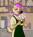 anthro apron barrista blush clothing coffeshop collar collar_tag detailed_background female hair pink_collar pink_hair smile solo mosstheopossum canid canine canis domestic_dog herding_dog mammal pastoral_dog schipperke sheepdog willow_(disambiguation) 2019