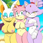 anthro beach big_breasts bodily_fluids breast_size_difference breasts covering covering_breasts covering_crotch cum female genital_fluids group looking_at_viewer messy nipples nude outside shy small_breasts standing trio wings zk_(artist) sega sonic_the_hedgehog_(series) amy_rose blaze_the_cat rouge_the_bat bat domestic_cat eulipotyphlan felid feline felis hedgehog mammal 1:1 hi_res