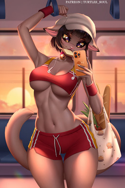 anthro athletic bag bell bell_collar big_breasts black_hair bottomwear bread breasts cellphone clothed clothing collar earbuds electronics female food fur hair halter headphones holding_cellphone holding_object holding_phone holding_smartphone jingle_bell legs_together midriff navel object_in_mouth phone public_transportation short_hair shorts slim smartphone solo tail tan_body tan_fur text thigh_gap tight_clothing under_boob yellow_sclera turtlessoul lackadaisy ivy_pepper domestic_cat felid feline felis mammal 2023 2:3 artist_name digital_media_(artwork) hi_res