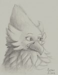 ambiguous_gender anthro beak cheek_tuft eyebrows facial_tuft feather_tuft feathers fluffy looking_aside looking_away male pupils raised_eyebrows slit_pupils smile solo tuft sejantlamb shou_(securipun) accipitrid accipitriform avian bird eagle 2020 graphite_(artwork) greyscale headshot_portrait hi_res monochrome portrait signature traditional_media_(artwork)