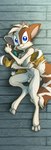 anthro biped blue_eyes clothing dakimakura flaccid genitals jacket jewelry male necklace necklace_only nude penis pillow smile solo topwear david_lillie dreamkeepers mace_(dreamkeepers) domestic_cat felid feline felis mammal absurd_res dakimakura_design hi_res