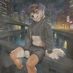 anthro black_clothing blue_eyes bottomwear city city_background clothed clothing crop_top cyberpunk floppy_ears footwear fully_clothed jacket looking_at_viewer male night river shirt shoes shorts sitting smile solo topwear leon_cheetah canid canine canis domestic_dog mammal 1:1 digital_media_(artwork) digital_painting_(artwork) hi_res watercolor_(artwork)