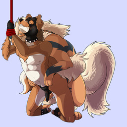 anal anal_penetration animal_genitalia animal_penis anthro anthro_on_feral anthro_penetrated balls bestiality bite biting_lip biting_own_lip bracelet brown_body brown_fur canine_genitalia canine_penis clothing collar dominant dominant_feral dominant_male duo feral feral_penetrating feral_penetrating_anthro forepaws_on_hips from_behind_position fur genitals gloves hair handwear interspecies jewelry kneeling latex leather male male/male male_on_feral male_penetrated male_penetrating male_penetrating_male mask nude on_ground panties paws penetration penis pokephilia rope self_bite sex size_difference smile spiked_bracelet spiked_collar spikes teeth underwear antoszowa nintendo pokemon arcanine canid canine canis collie domestic_dog generation_1_pokemon herding_dog mammal pastoral_dog pokemon_(species) sheepdog 1:1 hi_res