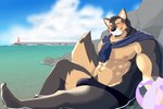 abs anthro beach blush brown_body brown_fur bulge clothing eyebrows fur male muscular muscular_anthro muscular_male nipples one_eye_closed partially_submerged pecs seaside sitting solo speedo swimwear thick_eyebrows water wink shi_ba_ki_chi lifewonders live_a_hero pubraseer canid canine canis domestic_dog mammal 3:2 hi_res