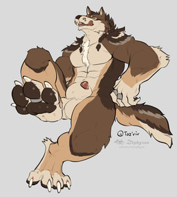 abs animal_genitalia anthro balls big_balls big_feet braided_hair brown_body brown_fur claws digit_ring digitigrade feet finger_ring foot_focus fur genitals hair jewelry lipsticking looking_at_viewer male muscular muscular_anthro muscular_male nude pawpads paws pecs penis penis_tip ring sheath simple_background solo tan_body tan_fur toe_claws toe_ring toes tongue tongue_out yellow_eyes zephyxus tazrir canid canine canis mammal wolf hi_res