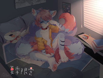 anthro bed blue_body blue_eyes blue_fur bottomless clothed clothing collar dark facial_markings fur furniture hair head_markings inner_ear_fluff inside kemono male markings multi_tail multicolored_body multicolored_fur on_bed open_clothing open_shirt open_topwear pawpads pillow pink_body pink_fur pink_hair plushie shirt short_hair solo stripes tail topwear tuft waking_up white_body white_fur young aqianr canid canine fox mammal 4:3