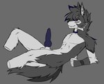 anthro genitals male penis solo kevliwolf canid canine canis mammal wolf hi_res