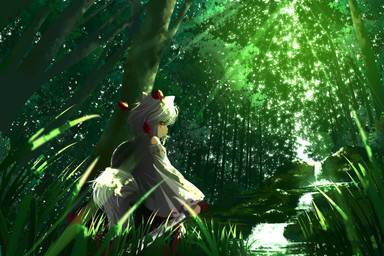 animal_ears bare_shoulders canine clothing detached_sleeves female forest grass hair hat hat_ribbon long_sleeves looking_at_viewer looking_back mammal momiji_inubashiri nature pengin_(takeoff425) red_eyes ribbons shield shirt silver_hair skirt solo sunlight sword tengu tokin_hat touhou tree water waterfall weapon white_hair wide_sleeves wolf wolf_ears wolf_tail
Rating: Safe
Score: 0
User: White_Len
Date: April 19, 2014