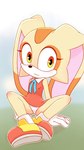 anthro bottomwear clothed clothing dress female looking_at_viewer outside panties raised_bottomwear raised_clothing raised_dress solo underwear upskirt white_clothing white_panties white_underwear young dakuromii sega sonic_the_hedgehog_(series) cream_the_rabbit lagomorph mammal 9:16 absurd_res hi_res