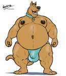 2023 anthro balls_outline belly big_belly brown_body brown_fur bulge canid canine canis claws clothed clothing collar collar_tag detailed_bulge domestic_dog fangs fur genital_outline great_dane hanna-barbera hi_res husky2paws male mammal mastiff molosser navel nipples obese obese_anthro obese_male open_mouth overweight overweight_anthro overweight_male penis_outline scooby-doo scooby-doo_(series) signature solo speedo speedo_only standing swimwear teeth tongue topless