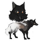 all_fours ambiguous_gender black_body black_fur feral fur pointy_ears prick_ears simple_background snout solo tail white_background white_body white_fur white_tail hoot_(artist) canid canine canis mammal wolf 2023 full-length_portrait portrait