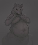 5_fingers anthro belly big_belly bottomwear breasts clothed clothing clothing_lift eyebrows female fingers fur overweight overweight_anthro overweight_female pants shirt shirt_lift small_breasts solo tail text topwear under_boob whiskers tenynn willow_(toxictoby) american_opossum mammal marsupial virginia_opossum english_text hi_res