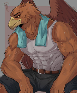 abs anthro beak clothing feathers fur male muscular muscular_anthro muscular_male pecs shirt sitting solo tank_top topwear towel wings dap1h elden_ring elden_ring_nightreign fromsoftware guardian_(nightreign) avian bird hi_res