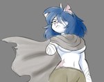 :< amputee anthro bandage bandaged_arm bandaged_eye bandaged_head bandaged_stump biped black_eyebrows blue_eyes blue_hair bottomwear breasts cape clothed clothing disability eyebrows eyelashes female female_anthro front_view fur green_bottomwear green_clothing green_shorts grey_background grey_cape grey_clothing hair hair_over_eye half-closed_eyes low-angle_view missing_arm narrowed_eyes navel notched_ear one_eye_obstructed partially_clothed partially_clothed_anthro partially_clothed_female pink_nose pink_scar scar shorts simple_background slim slim_anthro slim_female solo stump torn_cape torn_clothing under_boob waist_scar white_body white_breasts white_ear white_fur white_inner_ear |:< kabula_(artist) stray_(kabula) domestic_cat felid feline felis mammal 2022 colored colored_sketch digital_drawing_(artwork) digital_media_(artwork) guide_lines half-length_portrait hi_res portrait sketch