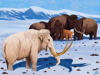 blue_sky brown_body brown_fur feral fur ginger_fur group leucistic proboscis_(anatomy) quadruped rock sky snow trunk_(anatomy) tundra tusks white_body white_fur young agustindiazart elephantid mammal mammoth prehistoric_species proboscidean woolly_mammoth 2023 4:3 hi_res
