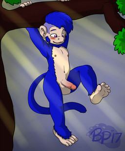 5_toes anthro balls barefoot biped blue_body blue_fur blush circumcised clinging dangling feet front_view fur genitals half-erect hanging_from_branch humanoid_genitalia humanoid_penis in_tree male navel nipples nude outside penis plant purple_eyes shota slim solo toes tree young bluepawpanda bluepaw_(bluepawpanda) haplorhine mammal monkey primate 5:6 hi_res signature