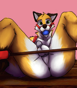 anthro ball bdsm belt bondage bound chastity_cage chastity_device discipline fetter frustrated gag hogtied male muzzle_gag over_sheath_chastity_cage punishment restraints rope rope_bondage rope_harness sheath_chastity_cage solo submissive wearing_chastity_cage wearing_chastity_device eldingo canid canine fox mammal absurd_res hi_res