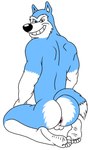 anthro anus balls barefoot blue_body blue_fur butt feet fur genitals humanoid_feet looking_at_viewer looking_back male multicolored_body multicolored_fur muscular muscular_anthro muscular_male nude plantigrade smile smirk soles solo teeth toes two_tone_body two_tone_fur white_body white_fur wrinkled_feet wrinkles nightfox90 road_rovers exile_(road_rovers) canid canine canis domestic_dog husky mammal nordic_sled_dog siberian_husky spitz hi_res