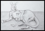 animal_genitalia anthro balls balls_above_penis beverage black_border book border bottomless clothed clothing coffee eyewear food fully_sheathed genitals glasses male reading sheath solo tail foxia kangaroo macropod mammal marsupial graphite_(artwork) greyscale monochrome traditional_media_(artwork)