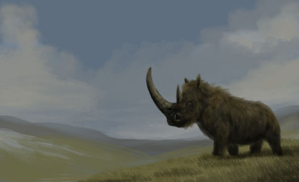 big_horn blue_sky brown_body brown_fur cloud feral fur grass horn huge_horn plant quadruped sky small_eyes snow solo tundra mihin89 mammal prehistoric_species rhinoceros woolly_rhinoceros 2017