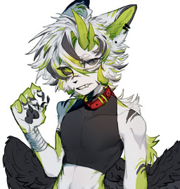 anthro bandage black_clothing black_topwear black_wings clothing collar fur green_body green_fur hair male red_collar solo topwear white_body white_fur white_hair wings crude_cyan hi_res