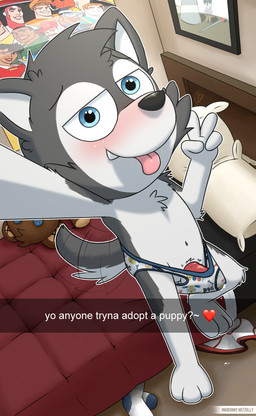 anthro bedroom blush bodily_fluids briefs bulge clothing genital_fluids gesture hand_gesture leaking_precum male precum selfie solo standing text underwear v_sign young young_anthro young_male conditional_dnp olly snapchat canid canine mammal absurd_res english_text hi_res