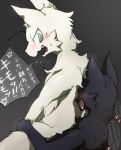 antennae_(anatomy) black_body black_fur blue_eyes blush bodily_fluids dialogue duo ear_piercing feral fur grey_background kemono male male/male piercing simple_background speech_bubble sweat sweatdrop text white_body white_fur hot_dog_wolf rokh_(artist) neko_no_chikyugi homura_(neko_no_chikyugi) kasuka felid mammal japanese_text