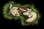 2012 alpha_channel ambiguous_gender big_ears canid canine canis cuddling dark-dragoncat duo fennec_fox feral fox graneth grass hybrid mammal pawpads paws plant simple_background taag tongue tongue_out transparent_background true_fox wolf yellow_eyes