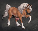 absurd_res anatomically_correct anatomically_correct_genitalia anatomically_correct_penis animal_genitalia animal_penis balls big_flare blue_eyes dolehest equid equine equine_genitalia equine_penis erection feral flared_penis genitals hair hi_res hooves horse male mammal maxym_(bloopertrooper) penis rufciu simple_background solo