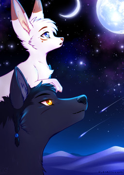 black_body black_fur blue_eyes dipstick_ears duo ear_markings feral fur moon multicolored_ears night outside shooting_star sky star starry_sky white_body white_fur yellow_eyes rukifox jarit_(rukifox) louis_(rukifox) canid canine fennec_fox fox mammal true_fox hi_res