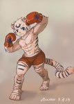 abs ainro anthro biceps blue_eyes bottomwear boxing_gloves clothing elysium_above felid fur hair handwear hi_res looking_at_viewer male mammal muscular muscular_anthro muscular_male nipples pantherine pecs pose shirtless_male shorts simple_background solo standing striped_body striped_fur stripes tiger white_body white_fur