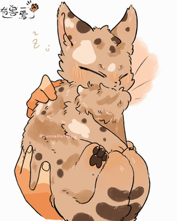 2_tails ambiguous_gender black_body black_fur chest_tuft disembodied_hand eyes_closed feral fur fur_markings holding_character humanoid_hands inner_ear_fluff markings mouth_closed multi_tail multicolored_body multicolored_fur pawpads paws simple_background sleeping solo tail tuft two_tone_body two_tone_fur white_body white_fur lunnanathalia asian_mythology chinese_mythology east_asian_mythology fabulous_beasts fenz_(studio) mythology hetao_(fabulous_beasts) felid mammal pantherine snow_leopard absurd_res colored hi_res