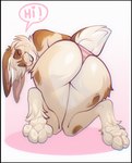 4_toes anthro brown_body brown_fur butt clothed clothed_anthro clothed_female clothing feet female fur kneeling looking_at_viewer one_eye_closed panties panties_only pantsless pantsless_anthro pantsless_female partially_clothed partially_clothed_anthro partially_clothed_female rear_view red_eyes simple_background smile solo teeth toes topless topless_anthro topless_female underwear underwear_only nitani lagomorph leporid mammal rabbit 2025 digital_media_(artwork) hi_res