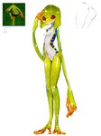 anthro belly blue_spots breasts female glistening glistening_body glistening_hair glistening_skin green_body green_hair green_skin hair long_arms looking_away monster_girl_(genre) multicolored_body multicolored_skin navel orange_fingers orange_toes red_eyes reference_image reference_photo short_hair simple_background solo spots standing white_background white_belly my700 amphibian frog 3:4