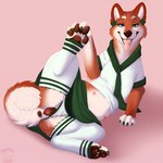 animal_genitalia animal_pussy anus canine_genitalia canine_pussy clothed clothed_feral clothing clothing_aside female feral fur genitals legwear lingerie lingerie_on_feral paws pussy red_body red_fur school_uniform solo thigh_highs underwear underwear_aside uniform nauticalcanine canid canine canis domestic_dog mammal shiba_inu spitz 1:1 absurd_res hi_res