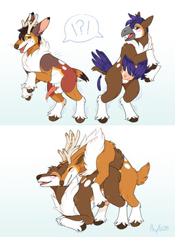 anthro balls duo female feral feral_on_feral genitals male nipples penis transformation vulva phytophile nintendo pokemon avian deer generation_5_pokemon lagomorph leporid mammal new_world_deer pokemon_(species) rabbit reindeer sawsbuck winter_sawsbuck absurd_res hi_res