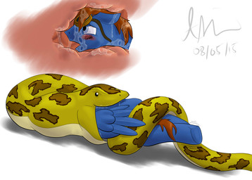 ambiguous_gender ambiguous_pred blue_body bodily_fluids duo esophagus eyewear eyewear_on_head feral feral_pred feral_prey goggles goggles_on_head internal male male_prey oral_vore partially_inside saliva vore wings doesnotexist hasbro my_little_pony mythology seaward_skies equid equine mammal mythological_creature mythological_equine pegasus reptile scalie snake absurd_res digital_media_(artwork) hi_res