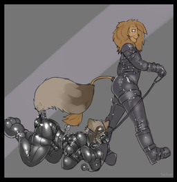 abstract_background anthro arms_tied ball_gag bdsm bitchsuit black_border black_nose bodysuit bondage bondage_gear border bound brown_body brown_fur chicken-wing_tied clothed clothing collar dominant dominant_male duo erection frogtied fur gag gagged genitals gimp_suit glistening halter harness harness_ball_gag harness_gag inflatable_gag latex leash legs_tied male male/male mane muzzle_(object) muzzled penis petplay roleplay sex_toy simple_background skinsuit submissive submissive_male text tight_clothing whiskers turbinedivinity sagemane tenebris canid canine felid lion mammal pantherine raccoon_dog tanuki 2011 digital_media_(artwork) english_text