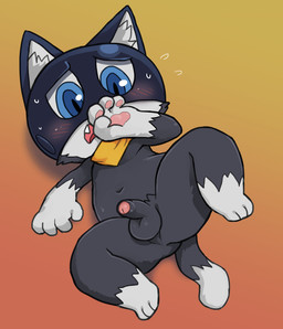 2019 anthro balls black_fur blue_eyes blush domestic_cat felid feline felis foreskin fur huka male mammal morgana_(persona) navel penis perineum simple_background solo spreading spread_legs uncut white_fur
Rating: Explicit
Score: 7
User: Damien-The-Red-Panda
Date: May 20, 2019 2019 anthro balls black_fur blue_eyes blush domestic_cat felid feline felis foreskin fur huka male mammal morgana_(persona) navel penis perineum simple_background solo spreading spread_legs uncut white_fur
Rating: Explicit
Score: 7
User: Damien-The-Red-Panda
Date: May 20, 2019