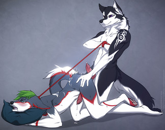 after_sex animal_genitalia animal_penis anthro blush bodily_fluids cum cum_on_back digitigrade dominant dominant_male drooling duo erection genital_fluids genitals green_hair hair holding_leash holding_object leash leash_pull male male/male penis purple_eyes saliva sex submissive submissive_male angiewolf silverwind92 snowylein canid canine canis domestic_dog husky mammal nordic_sled_dog spitz 2016 digital_media_(artwork) shaded