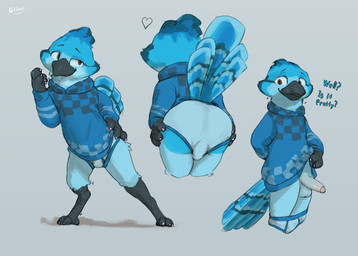 anthro avian_feet balls beak blue_clothing blue_seam_underwear briefs bulge butt clothed clothing clothing_lift colored_nails colored_seam_underwear dialogue foreskin genitals humanoid_genitalia humanoid_penis looking_at_viewer male multiple_poses nails orange_eyes penis pose presenting presenting_hindquarters presenting_penis solo sweater topwear underwear glibnel avian bird absurd_res hi_res
