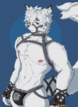 2024 abs anthro areola barazoku biceps big_muscles biped bondage_gear canid canine canis clothed clothing fur hair hi_res jockstrap jockstrap_only looking_at_viewer male male_anthro mammal mihoyo muscular muscular_anthro muscular_male muzzle_(object) nipples pecs pink_nipples pornfypanda red_eyes shirtless_anthro shirtless_male solo standing tail topless underwear underwear_only von_lycaon white_body white_fur white_hair white_tail wolf zenless_zone_zero