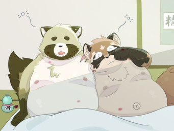 anthro bedding belly big_belly bite_mark blanket brown_body brown_fur duo eyes_closed fat_amle fur kemono male male/male moobs navel nipples overweight overweight_male tired yuhi_yeah canid canine mammal raccoon_dog tanuki 2026