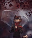 anthro autumn beverage brown_hair coffee hair lo-fi male plant raining relaxing solo tree umbrella tatujapa chyr_(chyr) avian bird canid canine cardinal_(bird) fox mammal oscine passerine vulpin 2023 absurd_res hi_res