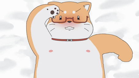 anthro bedding bedding_background blush eyewear fur glasses looking_at_viewer lying male nipples on_back orange_body orange_fur slightly_chubby solo suggestive p1c0_p1c0 canid canine canis domestic_dog mammal shiba_inu spitz 16:9 animated no_sound short_playtime video widescreen