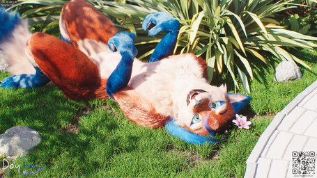 accessory animal_ears anthro blue_hair claws clothed clothing expressive_eyes eyebrows flower flower_in_hair fluffy fluffy_tail fur grass green_eyes hair hair_accessory light looking_at_viewer lying male open_mouth outdoor_background partially_clothed pawpads paws plant pointy_ears pose posed qr_code red_body red_fur smile solo sunlight tail teeth text tongue whiskers daytia c4d canid canine fox mammal rexouium 3d_(artwork) cinema_4d_(artwork) digital_media_(artwork) hi_res signature url