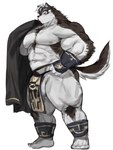 abs accessory anthro balls biceps bottomwear clothing fur genitals grey_body grey_fur headband loincloth male muscular muscular_anthro muscular_male nipples pecs solo khunowen3 lifewonders tokyo_afterschool_summoners horkeu_kamui_(tas) canid canine canis mammal wolf hi_res